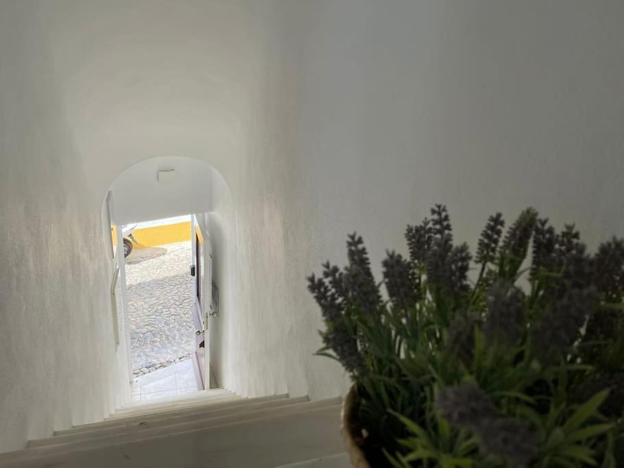 Casa Da Oliveira Apartment *
